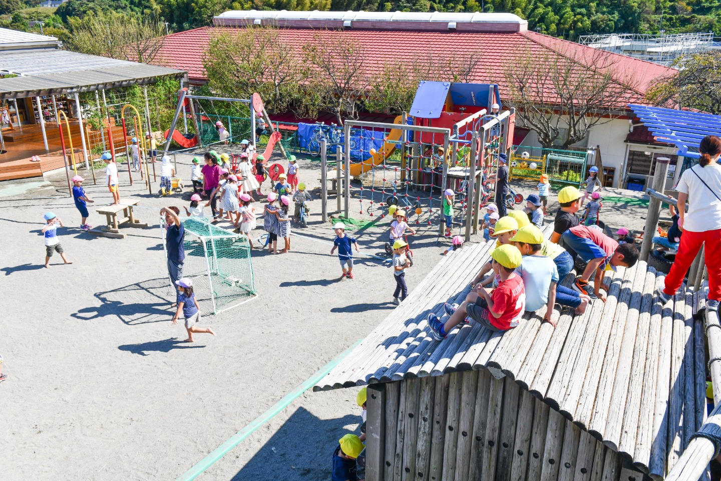 割引も実施中 法人様限定 トッケン 幼稚園遊具 保育園遊具 園庭遊具 保育園家具 小型丸型はしご